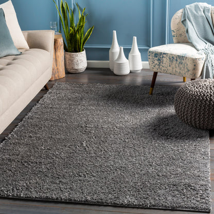 Surya Deluxe Shag Dxs-2303 Charcoal Area Rug