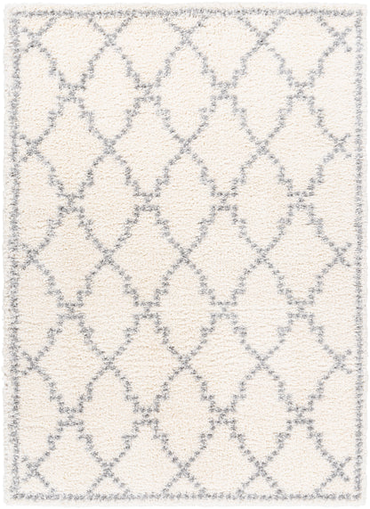 Surya Deluxe Shag Dxs-2305 White, Medium Gray Area Rug