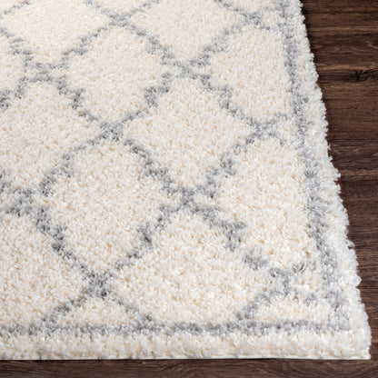 Surya Deluxe Shag Dxs-2305 White, Medium Gray Area Rug