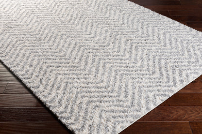 Surya Deluxe Shag Dxs-2307 Medium Gray, White Area Rug