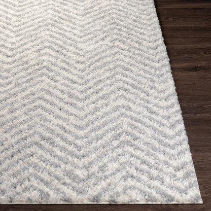 Surya Deluxe Shag Dxs-2307 Medium Gray, White Area Rug