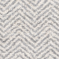 Surya Deluxe Shag Dxs-2307 Medium Gray, White Area Rug