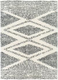 Surya Deluxe Shag Dxs-2309 Cream, Charcoal Area Rug