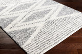 Surya Deluxe Shag Dxs-2309 Cream, Charcoal Rugs.