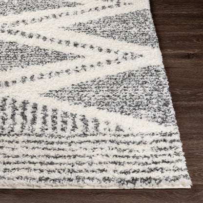 Surya Deluxe Shag Dxs-2309 Cream, Charcoal Area Rug