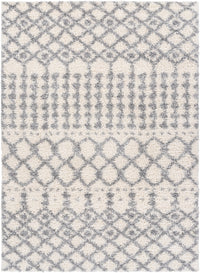 Surya Deluxe Shag Dxs-2312 White, Medium Gray Area Rug