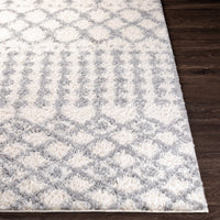 Surya Deluxe Shag Dxs-2312 White, Medium Gray Area Rug