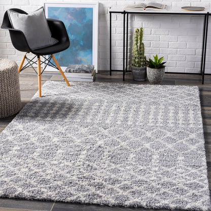 Surya Deluxe Shag Dxs-2313 Medium Gray, White Area Rug