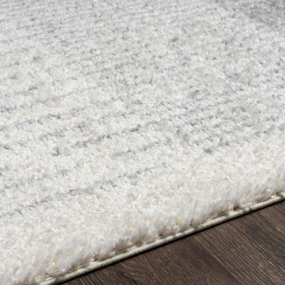 Surya Deluxe Shag Dxs-2318 Cream, Light Gray Area Rug