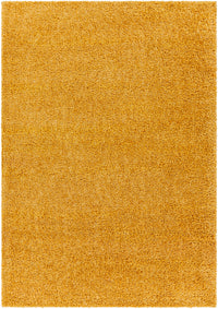 Surya Deluxe Shag Dxs-2323 Orange Area Rug