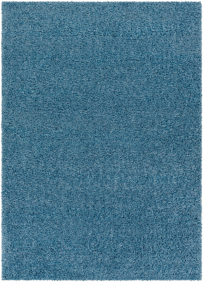 Surya Deluxe Shag Dxs-2325 Blue Area Rug