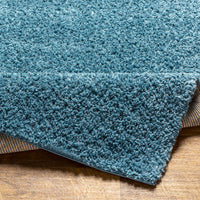 Surya Deluxe Shag Dxs-2325 Blue Area Rug