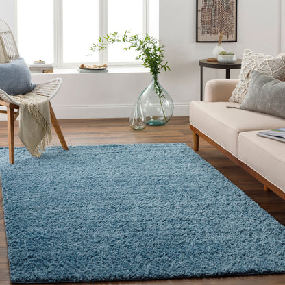 Surya Deluxe Shag Dxs-2325 Blue Area Rug