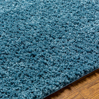 Surya Deluxe Shag Dxs-2325 Blue Area Rug