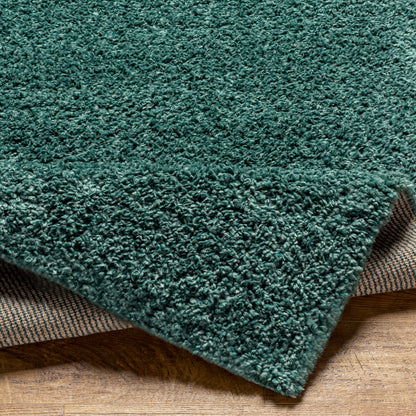 Surya Deluxe Shag Dxs-2326 Green Area Rug