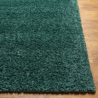 Surya Deluxe Shag Dxs-2326 Green Area Rug