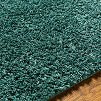 Surya Deluxe Shag Dxs-2326 Green Area Rug