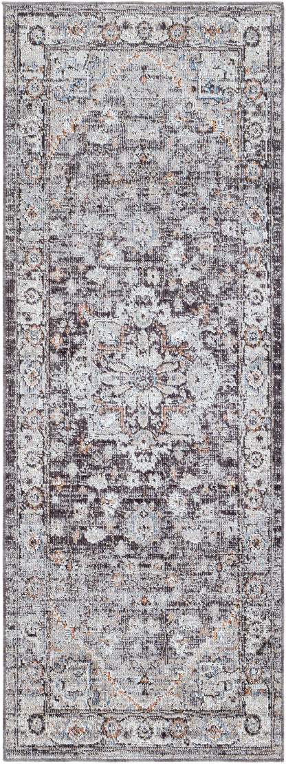 Surya Daytona Beach Dyt-2311 Light Gray, Charcoal, Medium Gray, Burnt Orange Area Rug