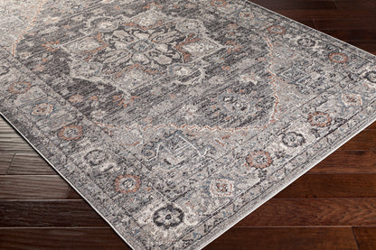 Surya Daytona Beach Dyt-2311 Light Gray, Charcoal, Medium Gray, Burnt Orange Area Rug