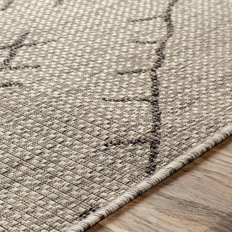 Surya Eagean Eag-2328 Black, Taupe, Light Gray, White Rugs.