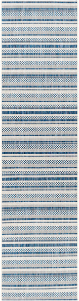 Surya Eagean Eag-2337 Navy, Denim, White Rugs.