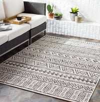 Surya Eagean Eag-2347 Black, Off-White Area Rug