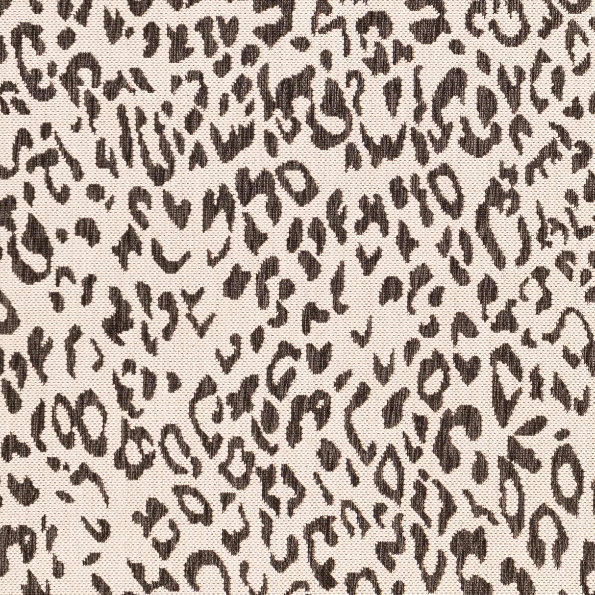 Surya Eagean Eag-2354 Black, White, Medium Gray Rugs.