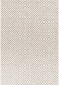 Surya Eagean Eag-2370 Light Sage, Gray, Light Beige Area Rug