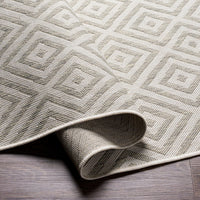 Surya Eagean Eag-2370 Light Sage, Gray, Light Beige Area Rug