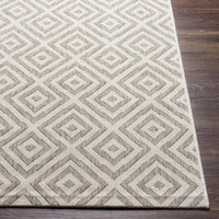 Surya Eagean Eag-2370 Light Sage, Gray, Light Beige Area Rug