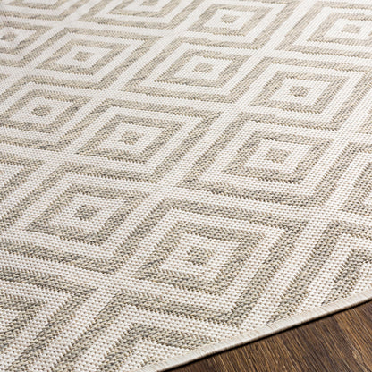 Surya Eagean Eag-2370 Light Sage, Gray, Light Beige Area Rug