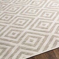 Surya Eagean Eag-2370 Light Sage, Gray, Light Beige Area Rug