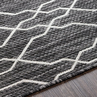 Surya Eagean Eag-2384 Charcoal, Cream Area Rug