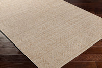 Surya Eagean Eag-2406 Brown Area Rug