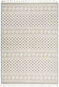 Nourison Paxton Pax05 Ivory/Grey Area Rug