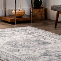 Nuloom Parisa Bordered Npa1988A Gray Area Rug