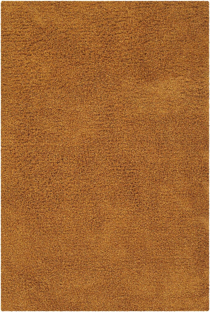 Chandra Ensign ens16604 Orange Shag Area Rug