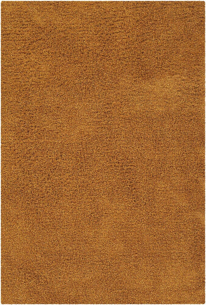 Chandra Ensign ens16604 Orange Shag Area Rug