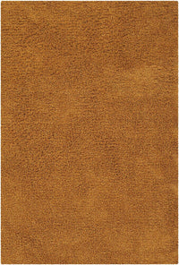 Chandra Ensign ens16604 Orange Shag Area Rug