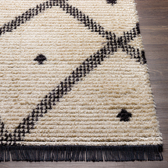 Surya Enzo Enz-2301 Black, Cream Rugs.