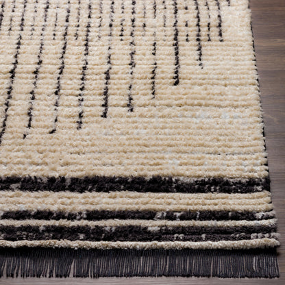 Surya Enzo Enz-2304 Black, Cream Area Rug