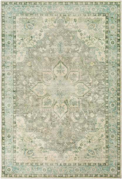 Surya Erin Ern-2309 Cream, Medium Gray, Butter, Aqua Area Rug