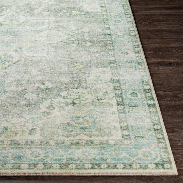 Surya Erin Ern-2309 Cream, Medium Gray, Butter, Aqua Rugs.