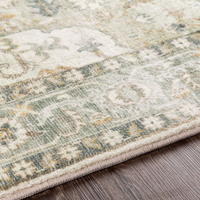 Surya Erin Ern-2310 Cream, Sage, Medium Gray, Tan Rugs.