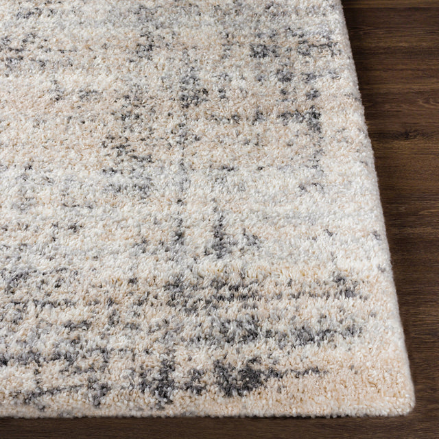 Surya Eskimo Shag Esg-2300 Charcoal, Beige, Light Gray, Cream Rugs.