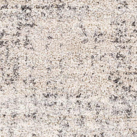 Surya Eskimo Shag Esg-2300 Charcoal, Beige, Light Gray, Cream Rugs.