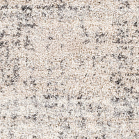 Surya Eskimo Shag Esg-2300 Charcoal, Beige, Light Gray, Cream Area Rug