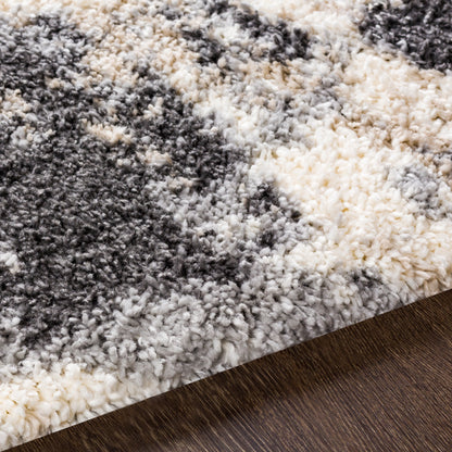 Surya Eskimo Shag Esg-2301 Charcoal, Cream, Light Gray, Beige Area Rug