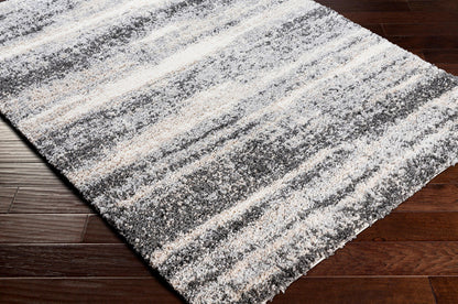 Surya Eskimo Shag Esg-2303 Charcoal, Cream, Light Gray Area Rug