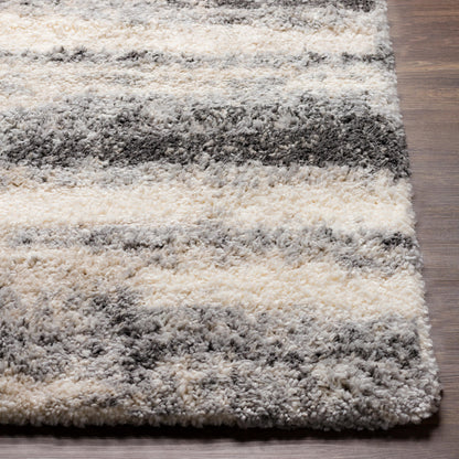 Surya Eskimo Shag Esg-2303 Charcoal, Cream, Light Gray Area Rug